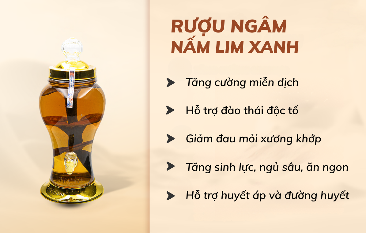 Nấm Lim Xanh có ngâm rượu được không NẤM LIM XANH trimico